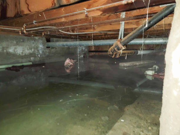 Best Ceiling water damage repair  in Dillonvale, OH