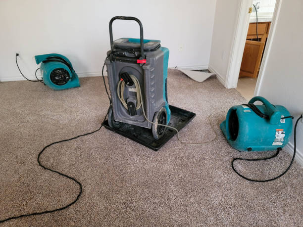 Best Sewage cleanup and water damage restoration  in Dillonvale, OH