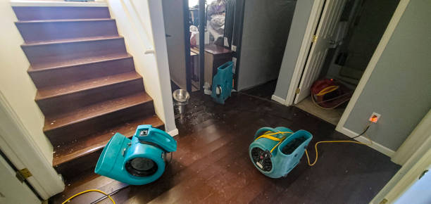 Best Local water damage restoration  in Dillonvale, OH