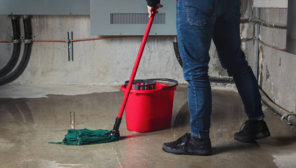 Best Flood damage cleanup  in Dillonvale, OH