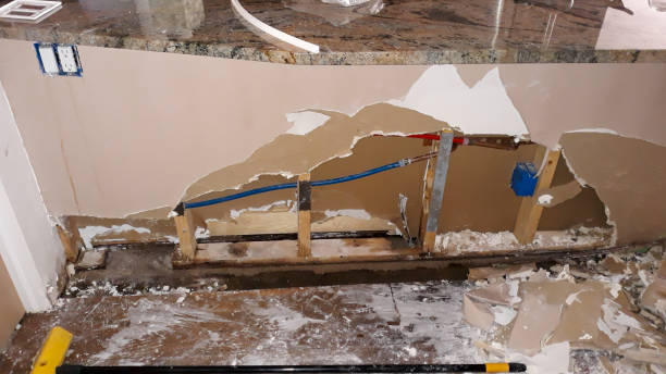 Best Basement water damage restoration  in Dillonvale, OH
