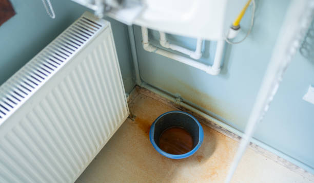 Best Water damage contractors near me  in Dillonvale, OH