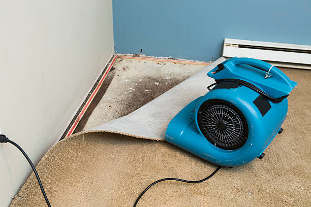 Best 24-hour water damage restoration  in Dillonvale, OH